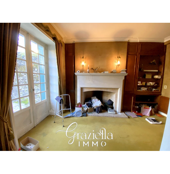 Salon avec cheminée en pierre